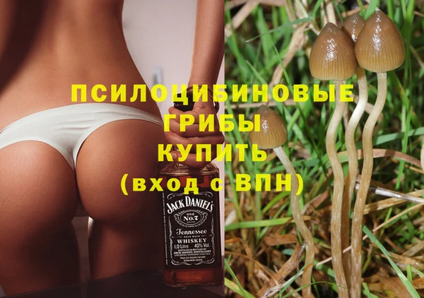 ПСИЛОЦИБИНОВЫЕ ГРИБЫ Алексеевка
