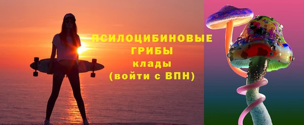 героин Алексин