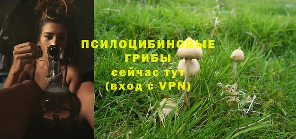 героин Алексин