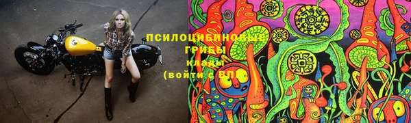 ПСИЛОЦИБИНОВЫЕ ГРИБЫ Алексеевка