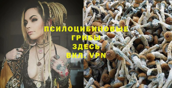 ПСИЛОЦИБИНОВЫЕ ГРИБЫ Алексеевка