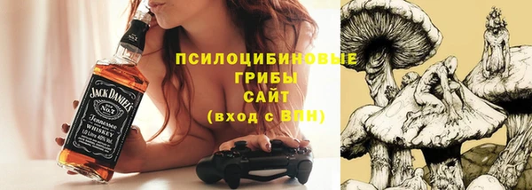 ПСИЛОЦИБИНОВЫЕ ГРИБЫ Алексеевка