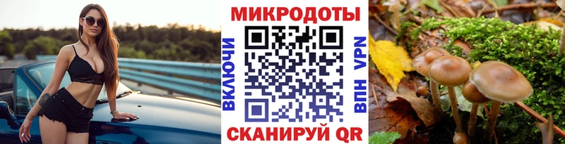 Галлюциногенные грибы мухоморы Ак-Довурак