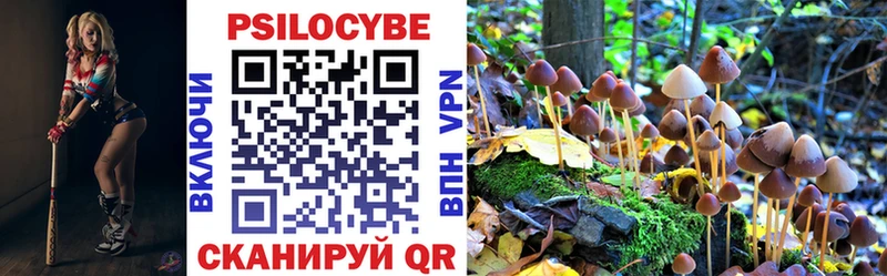 Псилоцибиновые грибы мицелий  Ак-Довурак 